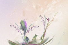 Cosmos Fragrance