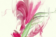 Crystal Lily