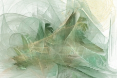 Forest of the Fairies