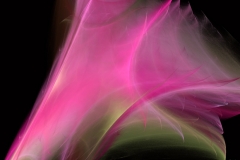 A Bloom in Slow Motion