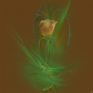 Enchanted Flower Dreamscape by ILIA